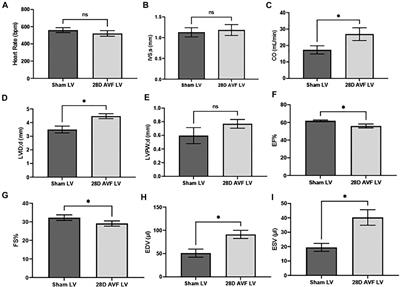 Biomimetic cardiac tissue chip and murine arteriovenous fistula models for recapitulating clinically relevant cardiac remodeling under volume overload conditions